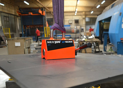 nl_36_NEO300.jpg
